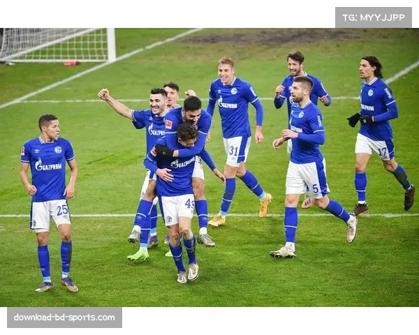 沙尔克04携手高校共建德甲特色足球管理硕士培养新模式